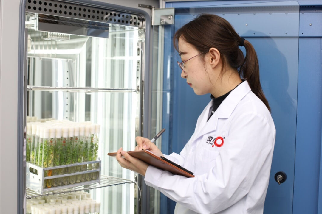 20240407/6411fefd3b4a79f9104df4a15cda1077.jpg 20240407/6411fefd3b4a79f9104df4a15cda1077.jpg